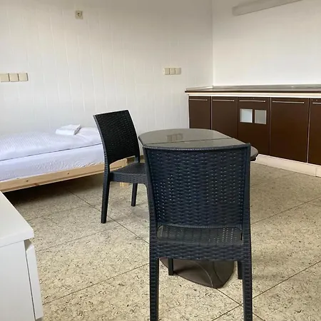 Apartment Monter24- Hk2 Grosse Monteurs Mainz, Wiesbaden, Ruesselsheim, Gute Anbindung *